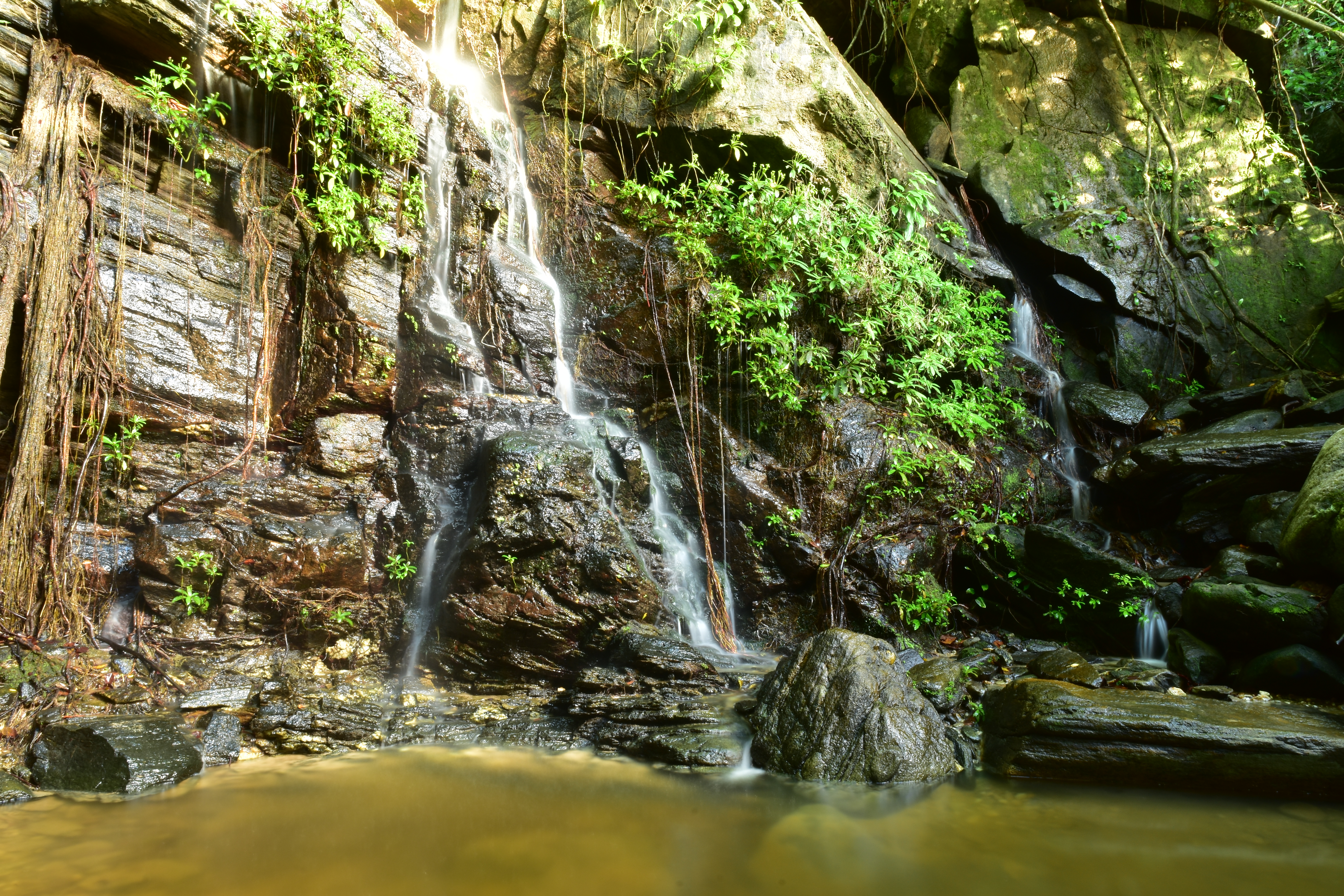 Island House Waterfall